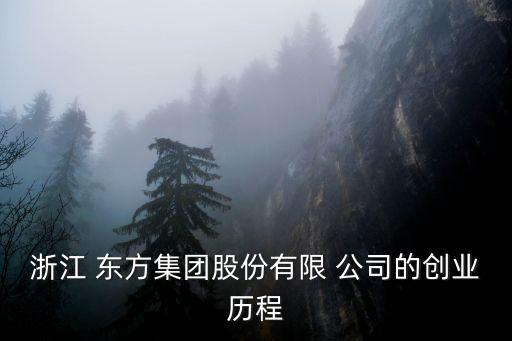 浙江 東方集團(tuán)股份有限 公司的創(chuàng)業(yè)歷程