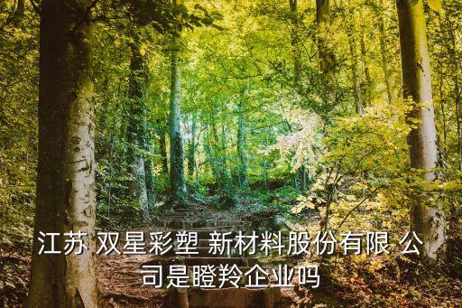 雙星新材同類(lèi)上市公司,雙星是上市公司嗎