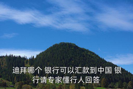  迪拜哪個(gè) 銀行可以匯款到中國 銀行請(qǐng)專家懂行人回答
