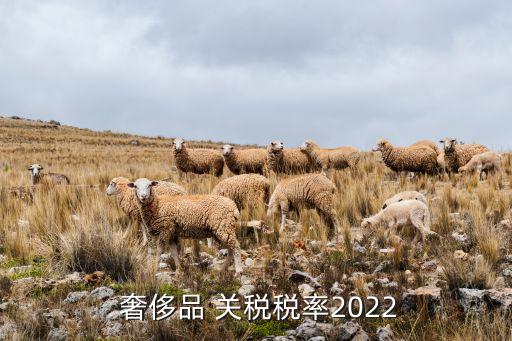 中國的奢侈品關稅,出國旅游買奢侈品需要給關稅嗎