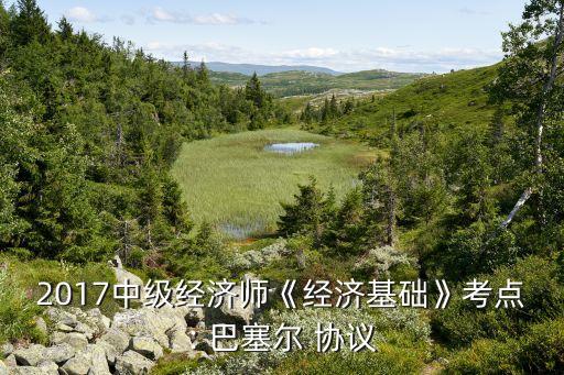 2017中級經(jīng)濟(jì)師《經(jīng)濟(jì)基礎(chǔ)》考點: 巴塞爾 協(xié)議