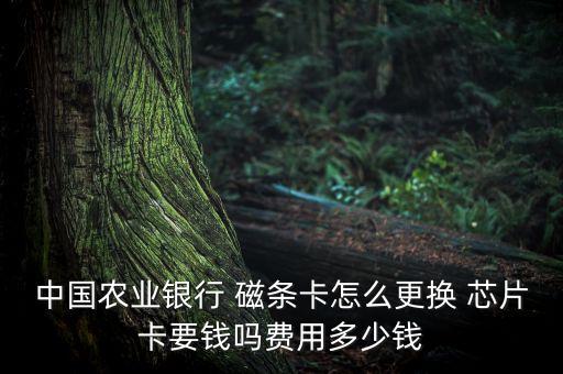 中國(guó)農(nóng)業(yè)銀行 磁條卡怎么更換 芯片卡要錢(qián)嗎費(fèi)用多少錢(qián)
