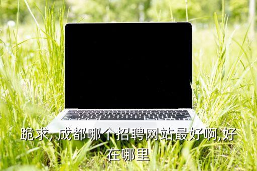 跪求, 成都哪個(gè)招聘網(wǎng)站最好啊,好在哪里