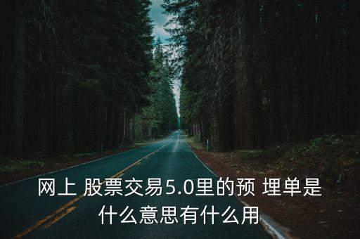 網(wǎng)上 股票交易5.0里的預 埋單是什么意思有什么用