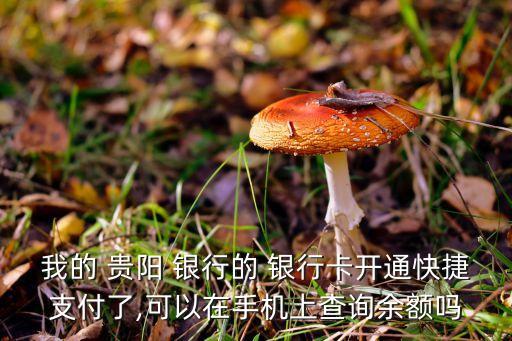我的 貴陽(yáng) 銀行的 銀行卡開(kāi)通快捷支付了,可以在手機(jī)上查詢余額嗎