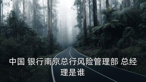 中國(guó) 銀行南京總行風(fēng)險(xiǎn)管理部 總經(jīng)理是誰