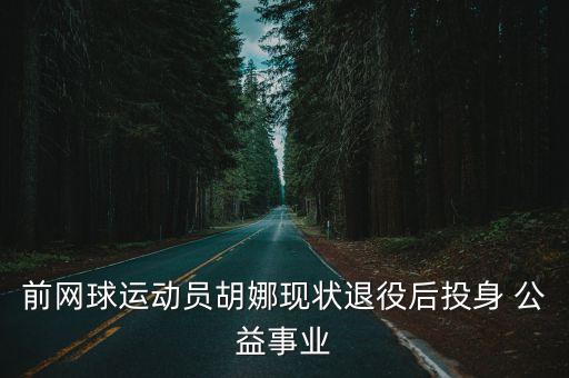 前網球運動員胡娜現(xiàn)狀退役后投身 公益事業(yè)