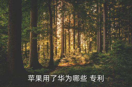 蘋(píng)果用了華為哪些 專(zhuān)利