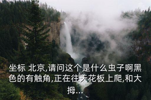 坐標(biāo) 北京,請(qǐng)問(wèn)這個(gè)是什么蟲(chóng)子啊黑色的有觸角,正在往天花板上爬,和大拇...