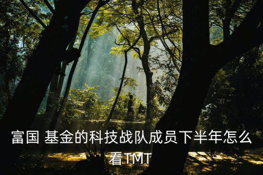 基金經理曹晉,曹晉基金經理檔案