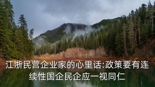 江浙民營(yíng)企業(yè)家的心里話:政策要有連續(xù)性國(guó)企民企應(yīng)一視同仁
