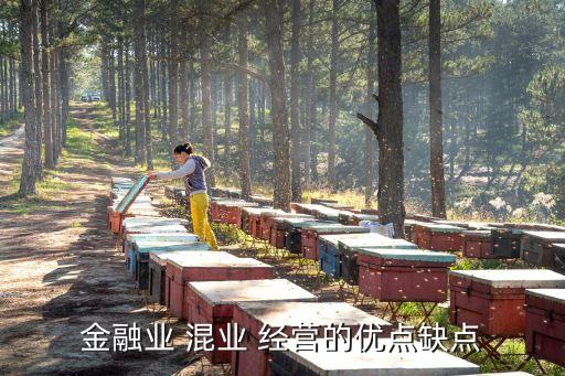 金融業(yè) 混業(yè) 經(jīng)營的優(yōu)點(diǎn)缺點(diǎn)