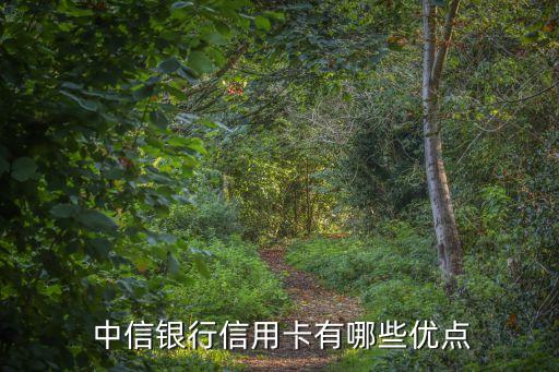  中信銀行信用卡有哪些優(yōu)點(diǎn)