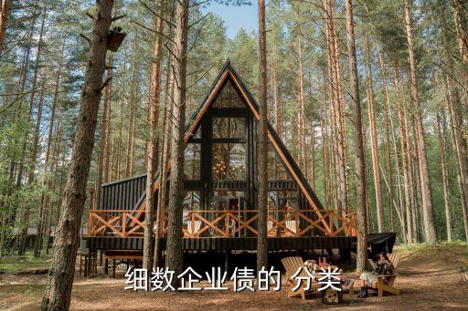 細數企業(yè)債的 分類