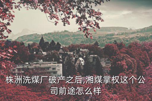 株洲洗煤廠破產之后,湘煤掌權這個公司前途怎么樣