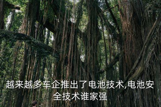 越來越多車企推出了電池技術(shù),電池安全技術(shù)誰家強