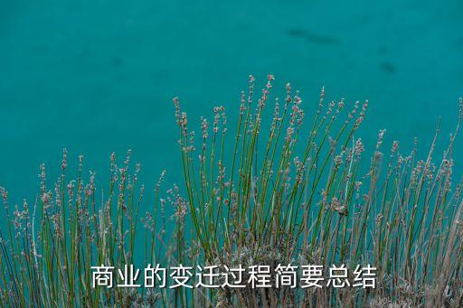  商業(yè)的變遷過(guò)程簡(jiǎn)要總結(jié)