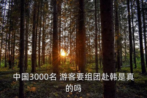 中國3000名 游客要組團赴韓是真的嗎