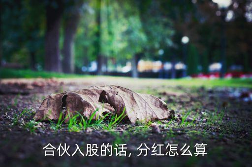 創(chuàng)業(yè)公司利潤分紅比例,一般分紅是按利潤多少比例進(jìn)行分配