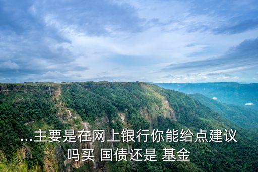 ...主要是在網(wǎng)上銀行你能給點(diǎn)建議嗎買 國(guó)債還是 基金