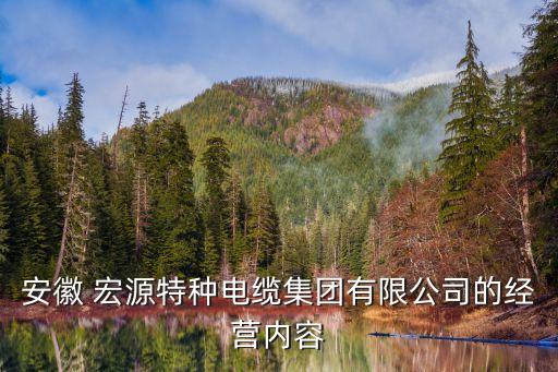 安徽 宏源特種電纜集團(tuán)有限公司的經(jīng)營(yíng)內(nèi)容