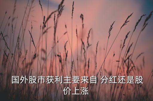  國(guó)外股市獲利主要來(lái)自 分紅還是股價(jià)上漲