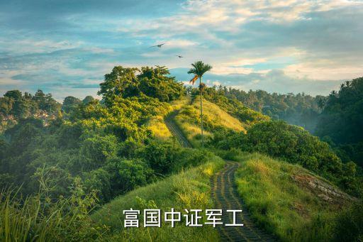  富國(guó)中證軍工