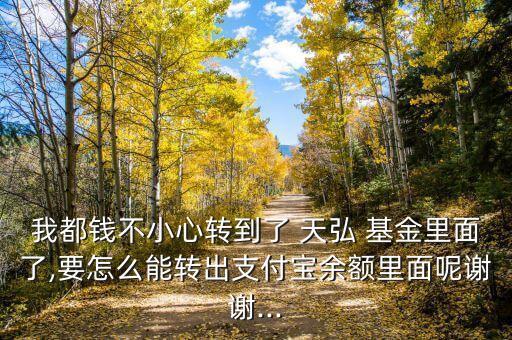 我都錢(qián)不小心轉(zhuǎn)到了 天弘 基金里面了,要怎么能轉(zhuǎn)出支付寶余額里面呢謝謝...