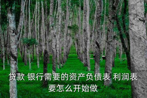 貸款 銀行需要的資產(chǎn)負(fù)債表 利潤(rùn)表要怎么開(kāi)始做