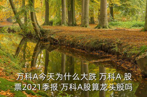  萬科A今天為什么大跌 萬科A 股票2021季報(bào) 萬科A股算龍頭股嗎