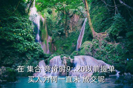 在 集合 競(jìng)價(jià)時(shí)9::20以前提單買(mǎi)入為何一直未 成交呢