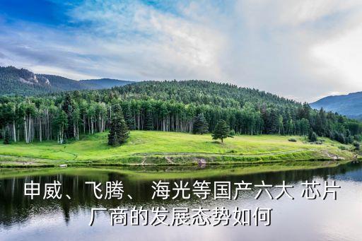 申威、飛騰、 海光等國產(chǎn)六大 芯片廠商的發(fā)展態(tài)勢如何