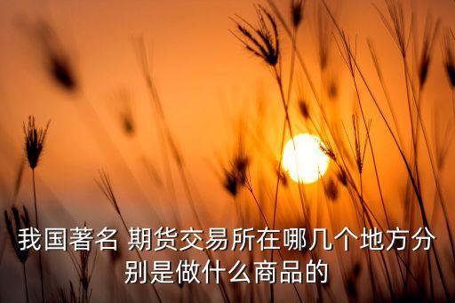 我國著名 期貨交易所在哪幾個(gè)地方分別是做什么商品的