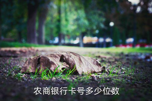  農商銀行卡號多少位數