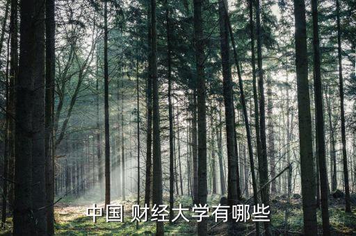 上海財經(jīng)2007山東,山東考上海財經(jīng)要多少分