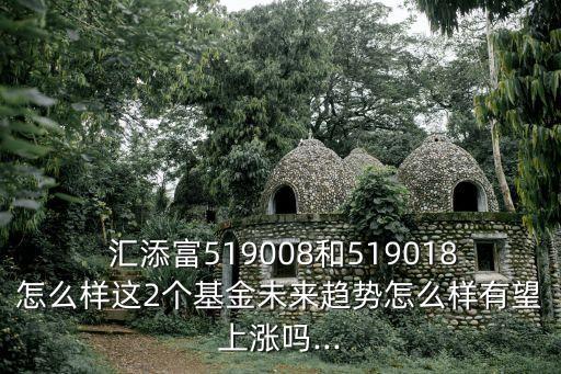  匯添富519008和519018怎么樣這2個(gè)基金未來(lái)趨勢(shì)怎么樣有望上漲嗎...