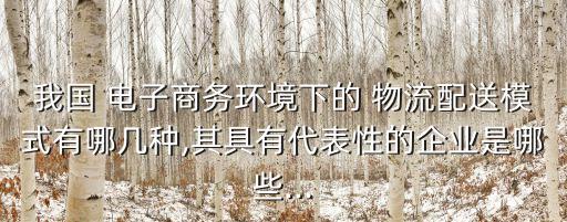我國(guó) 電子商務(wù)環(huán)境下的 物流配送模式有哪幾種,其具有代表性的企業(yè)是哪些...