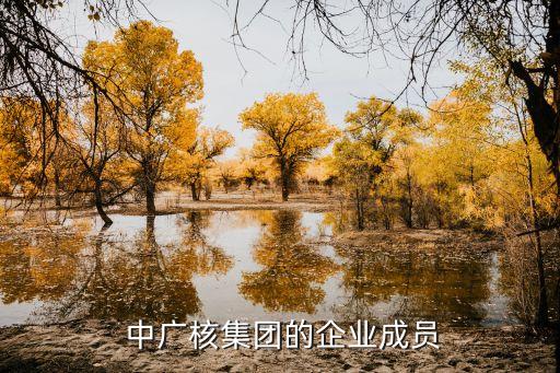  中廣核集團(tuán)的企業(yè)成員