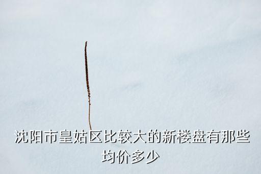  沈陽(yáng)市皇姑區(qū)比較大的新樓盤有那些均價(jià)多少