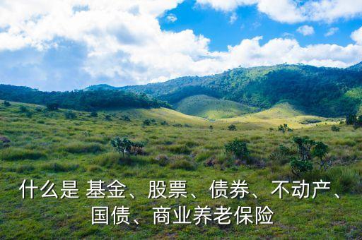 什么是 基金、股票、債券、不動(dòng)產(chǎn)、 國(guó)債、商業(yè)養(yǎng)老保險(xiǎn)