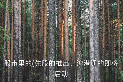 股市里的(先股的推出、滬港通的即將啟動