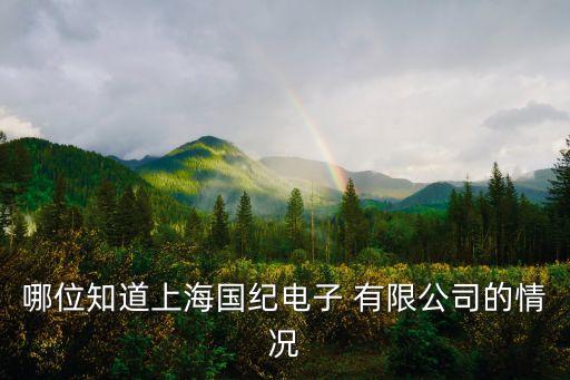哪位知道上海國紀電子 有限公司的情況