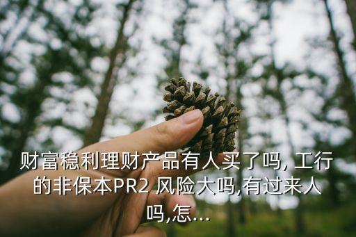 財(cái)富穩(wěn)利理財(cái)產(chǎn)品有人買(mǎi)了嗎, 工行的非保本PR2 風(fēng)險(xiǎn)大嗎,有過(guò)來(lái)人嗎,怎...