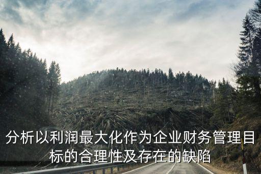 分析以利潤(rùn)最大化作為企業(yè)財(cái)務(wù)管理目標(biāo)的合理性及存在的缺陷