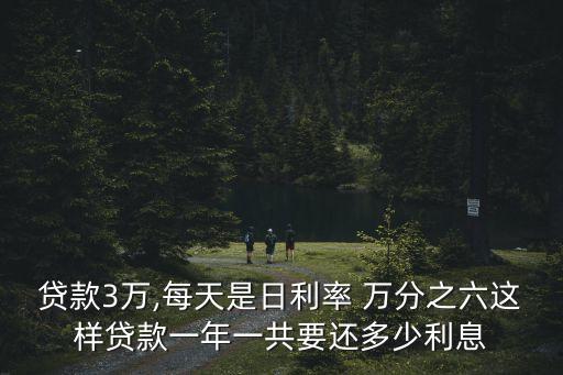 貸款3萬,每天是日利率 萬分之六這樣貸款一年一共要還多少利息