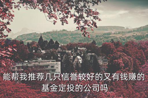 能幫我推薦幾只信譽較好的又有錢賺的 基金定投的公司嗎