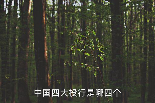 投資銀行和基金公司,如何投資銀行不良資產處理基金呢