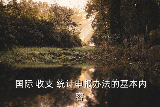  國(guó)際 收支 統(tǒng)計(jì)申報(bào)辦法的基本內(nèi)容