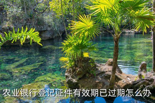 中國農業(yè)銀行監(jiān)事