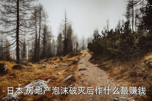 房地產(chǎn)崩盤(pán)后下個(gè)投資行業(yè)
